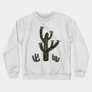 Desert Cacti Crewneck Sweatshirt